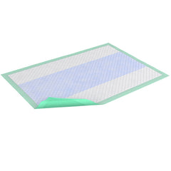 TENA Premium Reusable Green Underpad, Light, 30 X 30 Inch - Kin Care Medical Supply